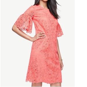 Ann Taylor Shift Lace Dress